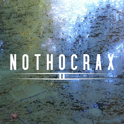 Nothocrax II